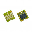 Cip Epson SC-T3200/SC-T5200/SC-T7200 T6193 pentru rezervor de deseuri cerneala Maintenance Box ARC (Auto Reset Chip)