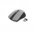 Mouse Gembird Wireless MUSW-4B-04-BG Optical 800-1600 dpi 4 buttons, Ambidextrous, 2xAAA, Black/Grey