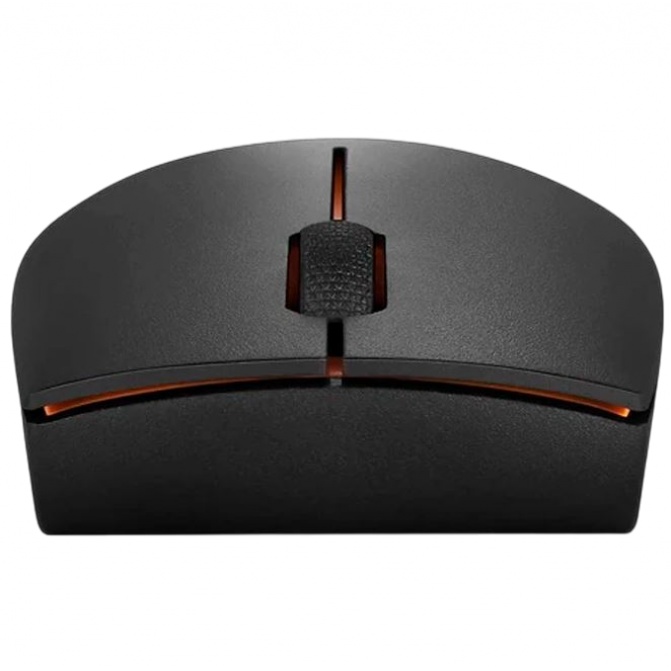 Mouse Lenovo 300 USB - WW, Cu fir, Negru