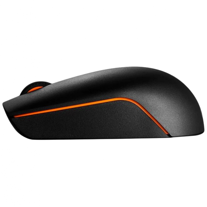 Mouse Lenovo 300 USB - WW, Cu fir, Negru