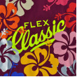 Плёнка для термопереноса FlexClassic S530 Green 48 Plotterfilms